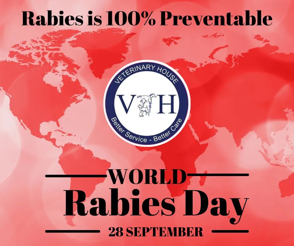 world rabies day
